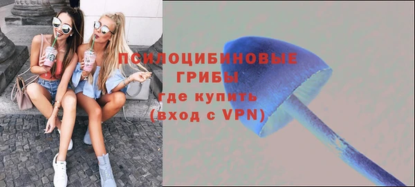 тгк Богородицк