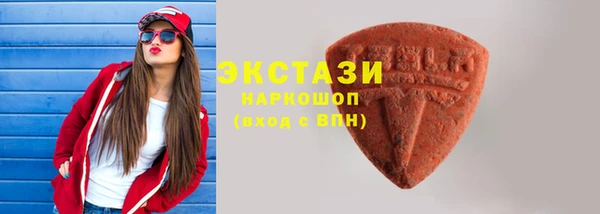 тгк Богородицк