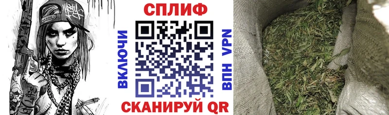 Бошки Шишки планчик Богданович